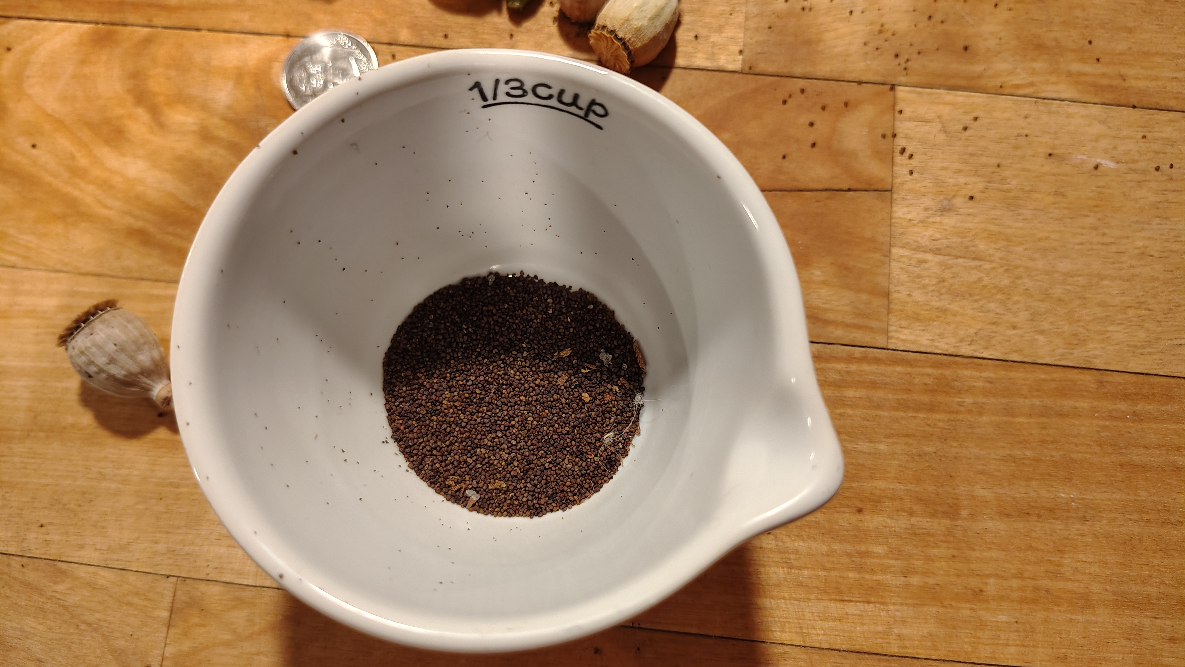 /gallery/poppies/doubleblack/seedsincup.jpg